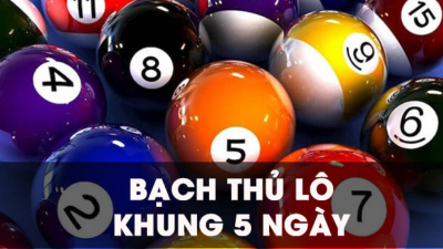 Bạch thủ lô nuôi khung 5 ngày và cách nuôi như thế nào để nhận lãi nhanh?